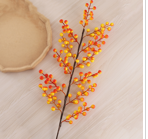 Cây hoa màu vàng cam rất phù hợp cho trang trí ngày tết lễ trung thu