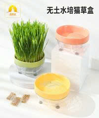 Hộp đựng cỏ cho mèo Dundun nguyên hộp Pipitao 16cm