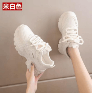 Giày sneaker casual siêu phổ biến 2025 sỉ lẻ kho xưởng Hà Nội