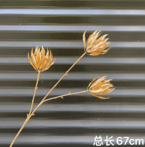 Đồ trang trí phụ kiện cành hoa hình đốm lửa