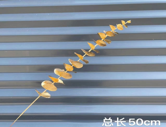 screenshot_1762404646