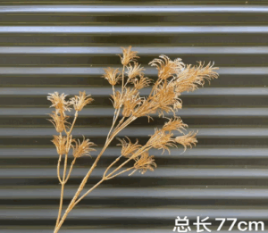 Phụ kiện trang trí nhà cửa Đèn neon mới nhất