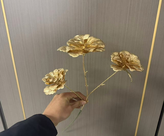 screenshot_1762412639