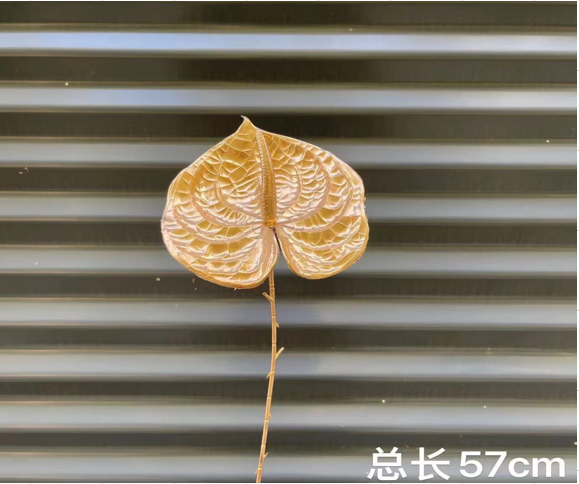 screenshot_1762415976