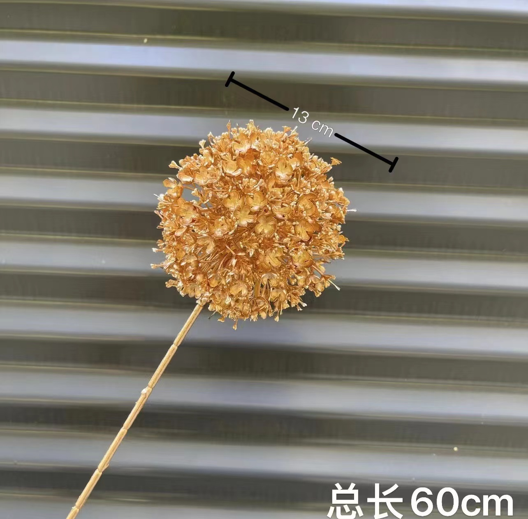 screenshot_1762484402