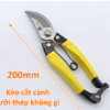 Kéo cắt cành bằng thép không gỉ (cong) mẫu mới nhất