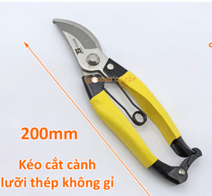 Kéo cắt cành bằng thép không gỉ (cong) mẫu mới nhất