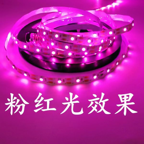 Dây LED 2835 12 V 5 mm 60 hạt 1 mét