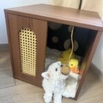 Nhà Gỗ Bán Kín Cho Chó Mèo