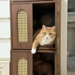Nhà Gỗ Bán Kín Cho Chó Mèo