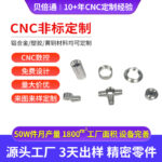Linh kiện CNC nhôm và thép không gỉ phi tiêu chuẩn