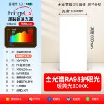 Đèn panel bếp và phòng tắm 30 × 60 cm