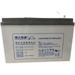 Ắc quy chì Leoch DJM12100 12V 100Ah