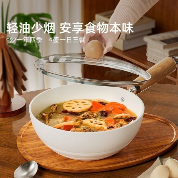 Chảo gốm mini 20–30 cm dùng cho một người