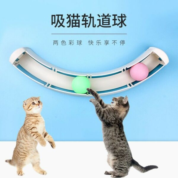 Bàn xoay bóng và cần câu cho mèo