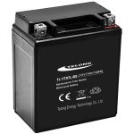 Ắc quy xe máy TELONG 12N6.5 12V 6.5Ah