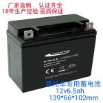 Ắc quy xe máy TELONG 12N6.5 12V 6.5Ah