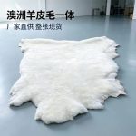Da cừu nguyên tấm còn lông màu trắng 8–11 ft²