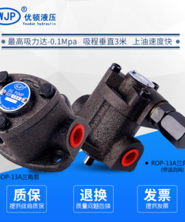 Bơm bánh răng bôi trơn TOP 10A–13A, 380 V