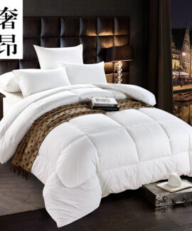 Ruột chăn khách sạn vỏ cotton