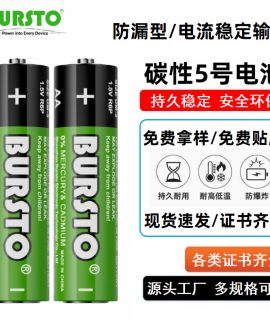 Pin AA carbon Bursto R6P 1.5 V