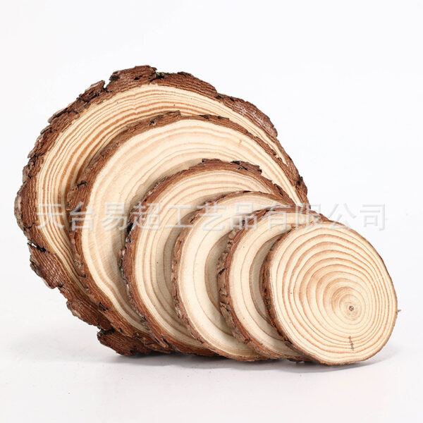 Lát gỗ thông tròn làm đồ thủ công DIY
