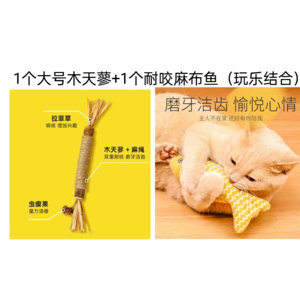 Bộ matatabi, bóng bạc hà và phụ kiện cho mèo