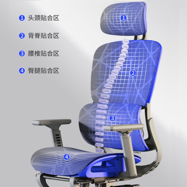 Ghế công thái học lưng lưới thoáng khí