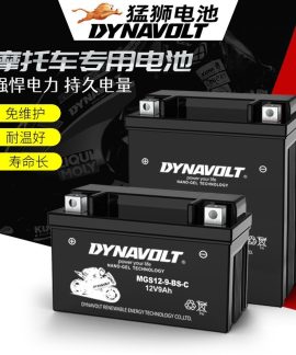 Ắc quy GEL xe máy MGS12-7A-BS 12V 7Ah
