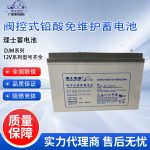Ắc quy chì DJM1238 12V 38Ah