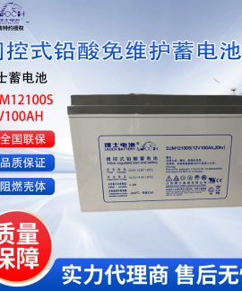 Ắc quy chì Leoch DJM100S 12V 100Ah