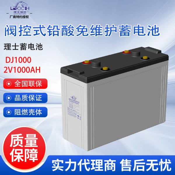 Ắc quy chì Leoch DJ1000 2V 1000Ah