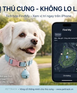 Vòng Cổ Định Vị Thú Cưng T06 - Dùng FindMy, Cho Chó Mèo Nhỏ